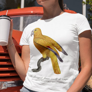 Camiseta Loro del Paraíso de Cuba, Psittacus Paradisi