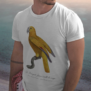 Camiseta Loro del Paraíso de Cuba, Psittacus Paradisi