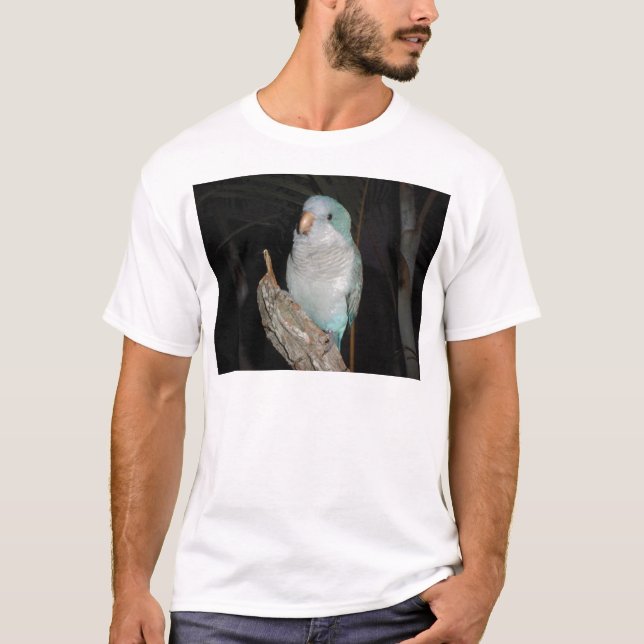 Camiseta loro del quaker (Anverso)