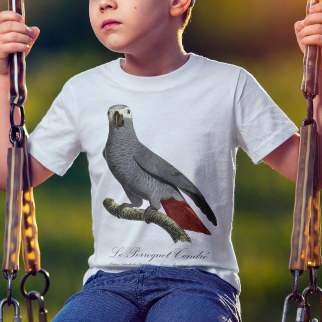 Camiseta Loro gris africano, Psittacus erithacus, vintage (Le Perroquet Cendre - 19th century illustration. T-Shirt basic boy)