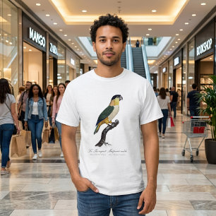 Camiseta Loro Macho de Cabeza Negra, Pionites Melanocephalu
