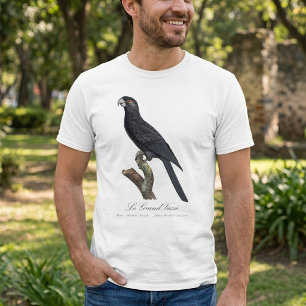 Camiseta Loro Vasa Mayor, Coracopsis Vasa Ilustración