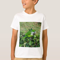 Loro verde
