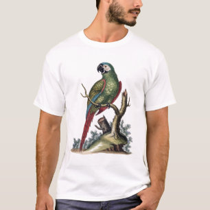Camiseta Loro verde antiguo