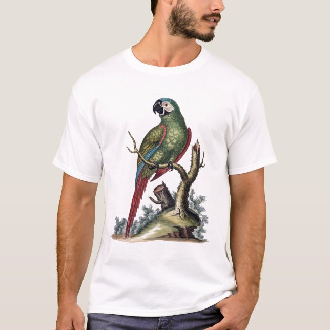 Camiseta Loro verde antiguo (Anverso)