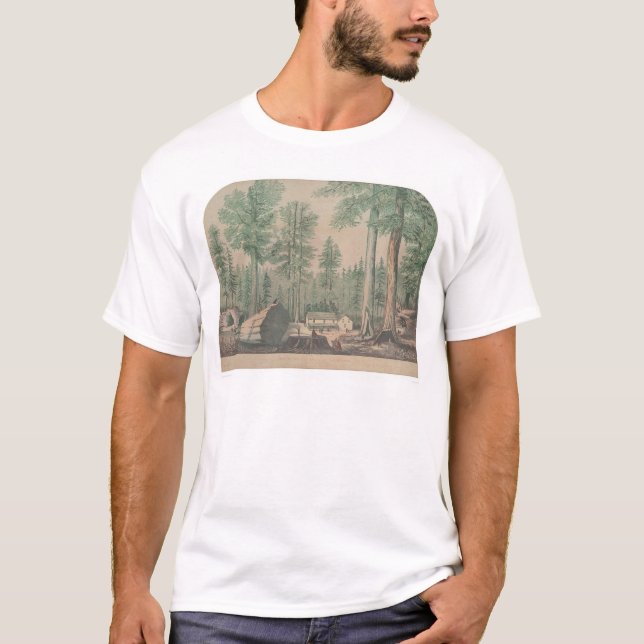 Camiseta Los árboles gigantescos de California (1191) (Anverso)