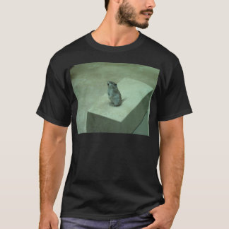 Camiseta ¡Los aullidos del ratón del asesino (leucogaster