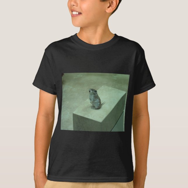 Camiseta ¡Los aullidos del ratón del asesino (leucogaster (Anverso)