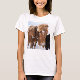Camiseta Los caballos islandeses nuzzle, Islandia