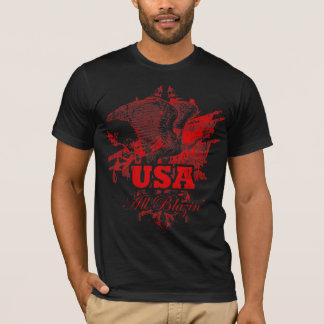 CAMISETA LOS E.E.U.U.