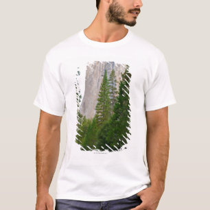 Camiseta Los E.E.U.U., California, parque nacional de
