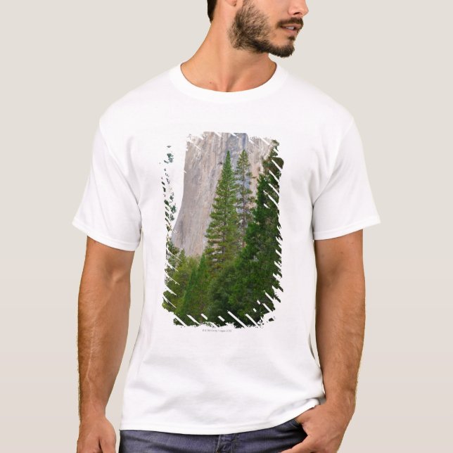 Camiseta Los E.E.U.U., California, parque nacional de (Anverso)