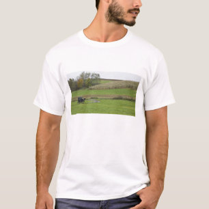Camiseta Los E.E.U.U., Ohio del noreste. Cochecillo de