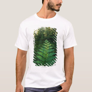 Camiseta Los E.E.U.U., Washington, parque nacional de