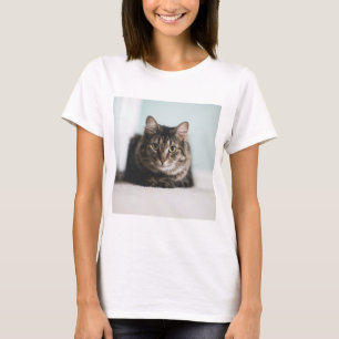 Camiseta Los Gatos Son Los Mejores 55
