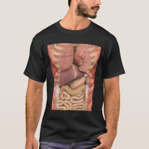 Camiseta Los músculos humanos organizan espeluznante anatom