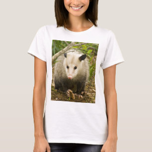 Camiseta Los oposums son bonitos - oposum Didelphimorphia
