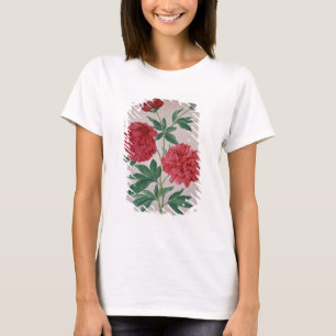 Camiseta Los Peonies, platean 46 del Florilegium de Nassau