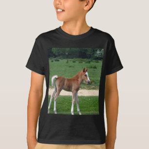 Camiseta Los regalos de destino de los estafadores de bebé