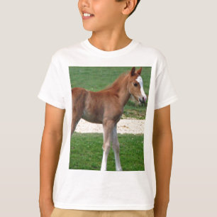 Camiseta Los regalos de destino de los estafadores de bebé