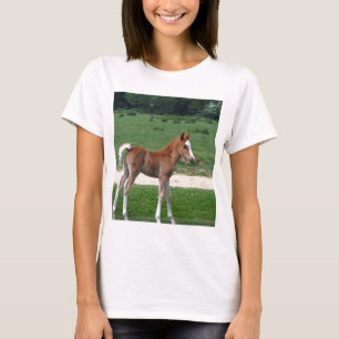 Camiseta Los regalos de destino de los estafadores de bebé
