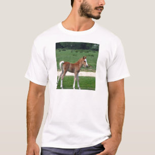 Camiseta Los regalos de destino de los estafadores de bebé 