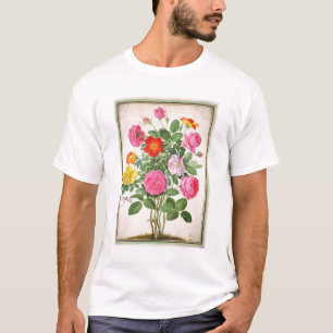 Camiseta Los rosas, platean 4 del Florilegium de Nassau