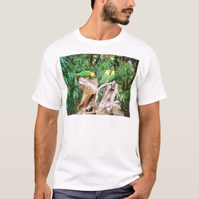 Camiseta Los tres amigos (Anverso)