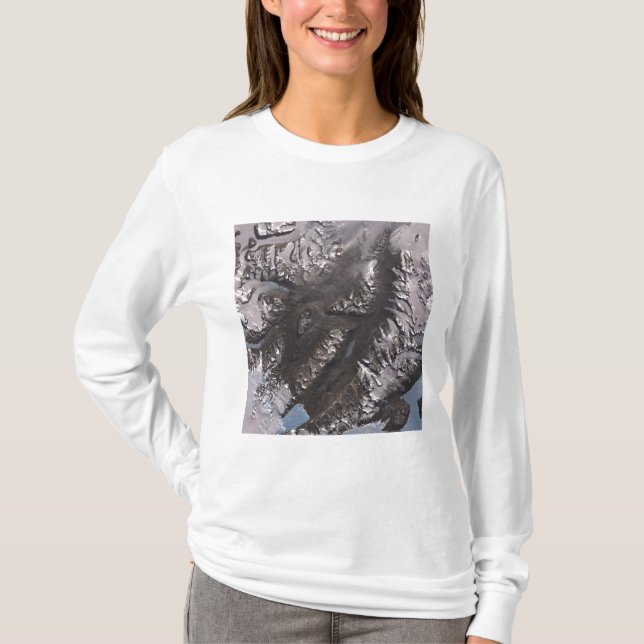 Camiseta Los valles secos de McMurdo (Anverso)