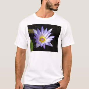 Camiseta loto azul del Nilo