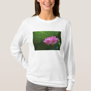 Camiseta Loto Ohga, Jardín Sankei-en, Yokohama, Japón