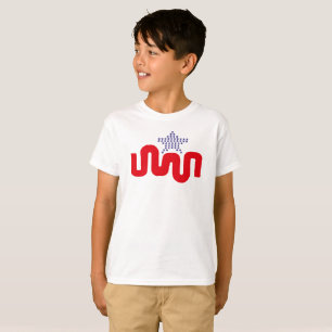 CAMISETA LOVE EXPERIMENTAL USA FLAG STARS BY MASANSER