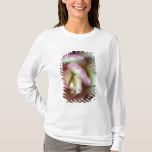 Camiseta <Love is a Rose> por Nathan Griffith