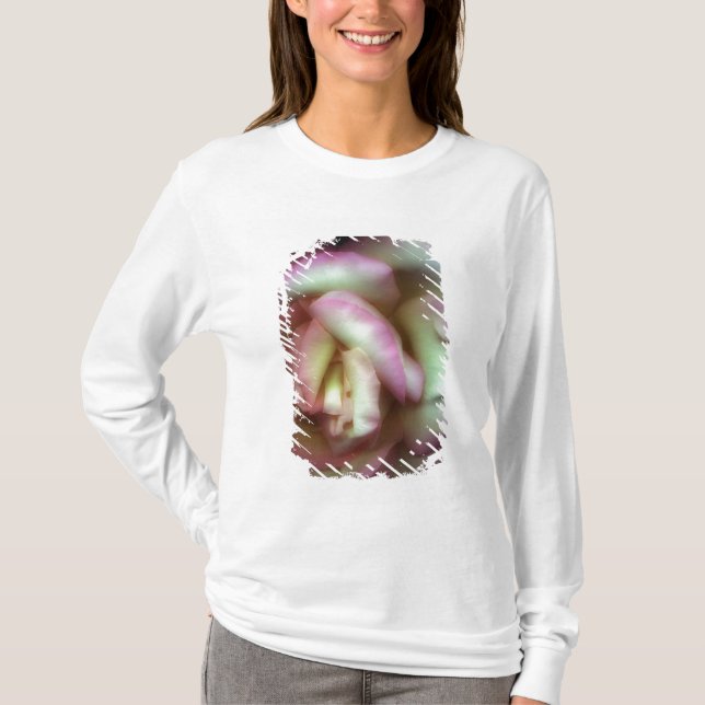 Camiseta <Love is a Rose> por Nathan Griffith (Anverso)