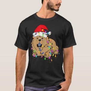 Camiseta Luces de Navidad para Perro Chow Chow Gorro de San