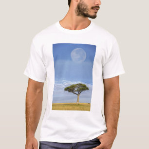 Camiseta Luna llena sobre árboles de acacia, Masai Mara,