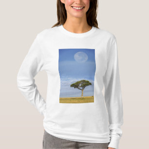 Camiseta Luna llena sobre árboles de acacia, Masai Mara,