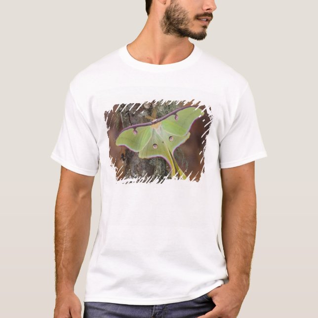 Camiseta Luna Silk Moth (Anverso)