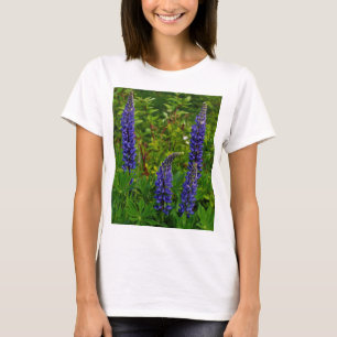 Camiseta Lupines