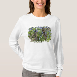 Camiseta Lupinos y flox rodeando la puerta del cementerio