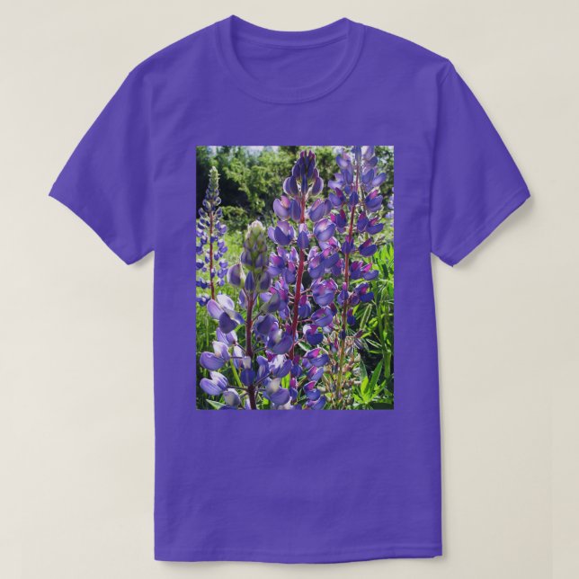 Camiseta Lupins de última hora de la tarde (Diseño del anverso)