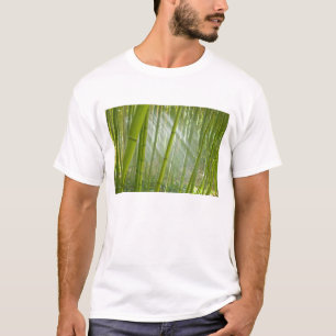 Camiseta Luz de la mañana filtrándose a través del bambú