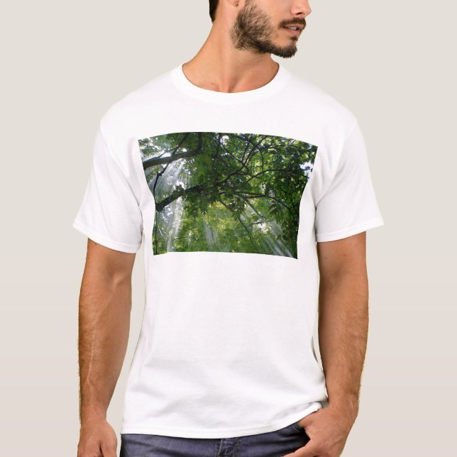 Camiseta Luz solar a través de árboles (Anverso)