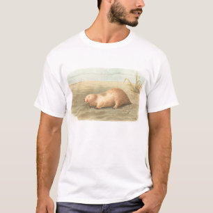 Camiseta Lydekker - Marsupial Mole