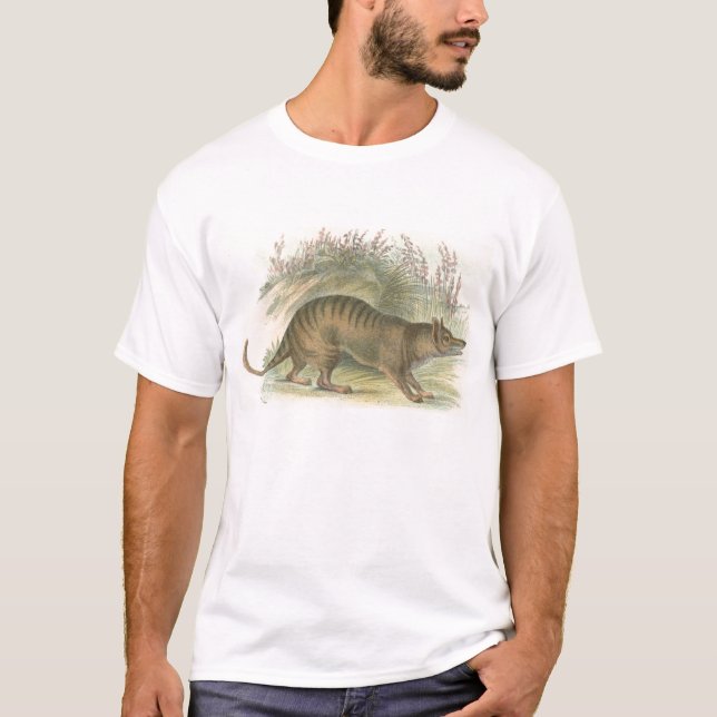 Camiseta Lydekker - Tigre de Tasmania (Anverso)