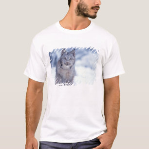 Camiseta Lynx en la nieve en las estribaciones