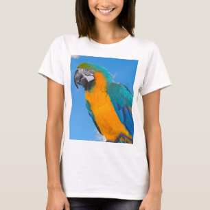 Camiseta Macao azul y amarillo