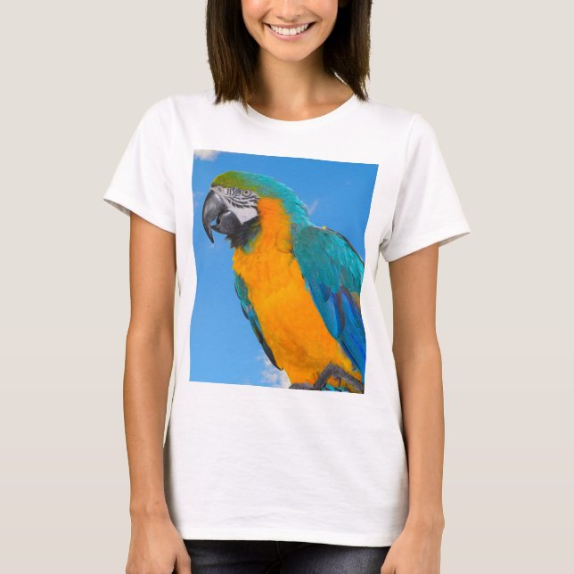 Camiseta Macao azul y amarillo (Anverso)