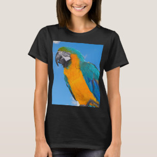 Camiseta Macao azul y amarillo