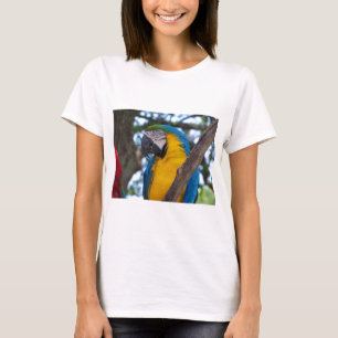 Camiseta Macao tropical amarillo verde y azul
